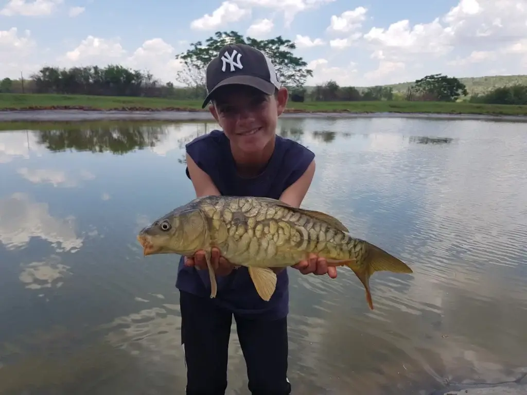 Catch Fish an release Imbabali Retreat and Venue magaliesburg