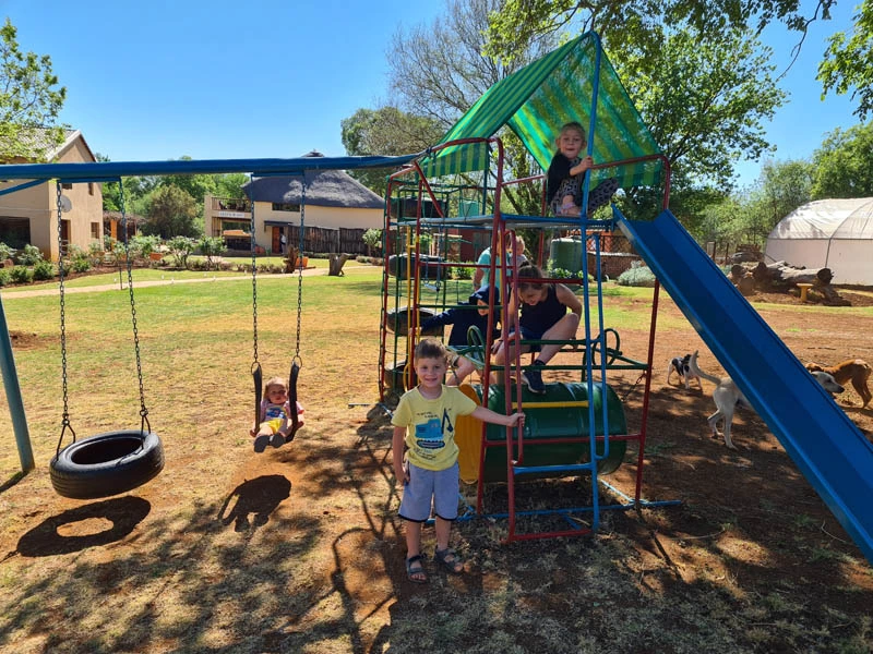 Jungle gyms for kids