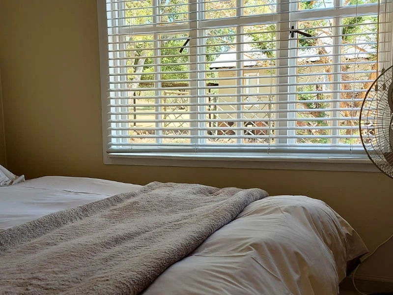 main bedroom view window