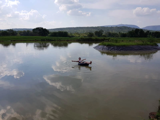 Swimming In a dam
