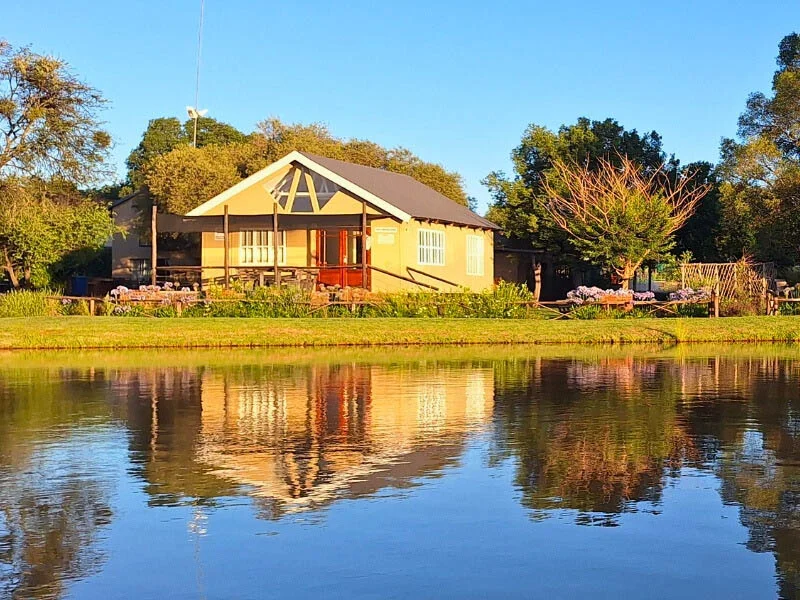 view from Lake