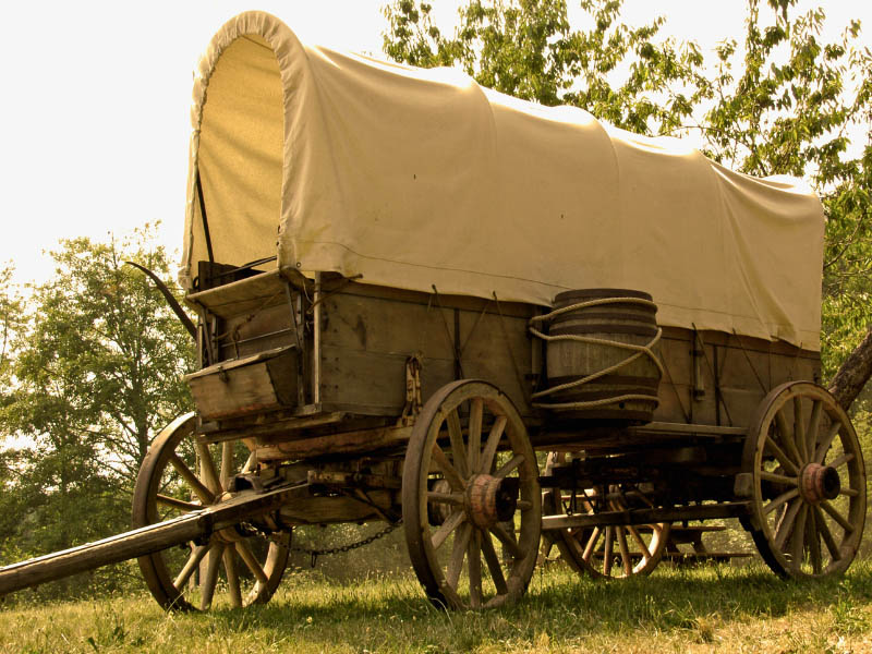 Battlefield Tours - Museum & Ox Wagons