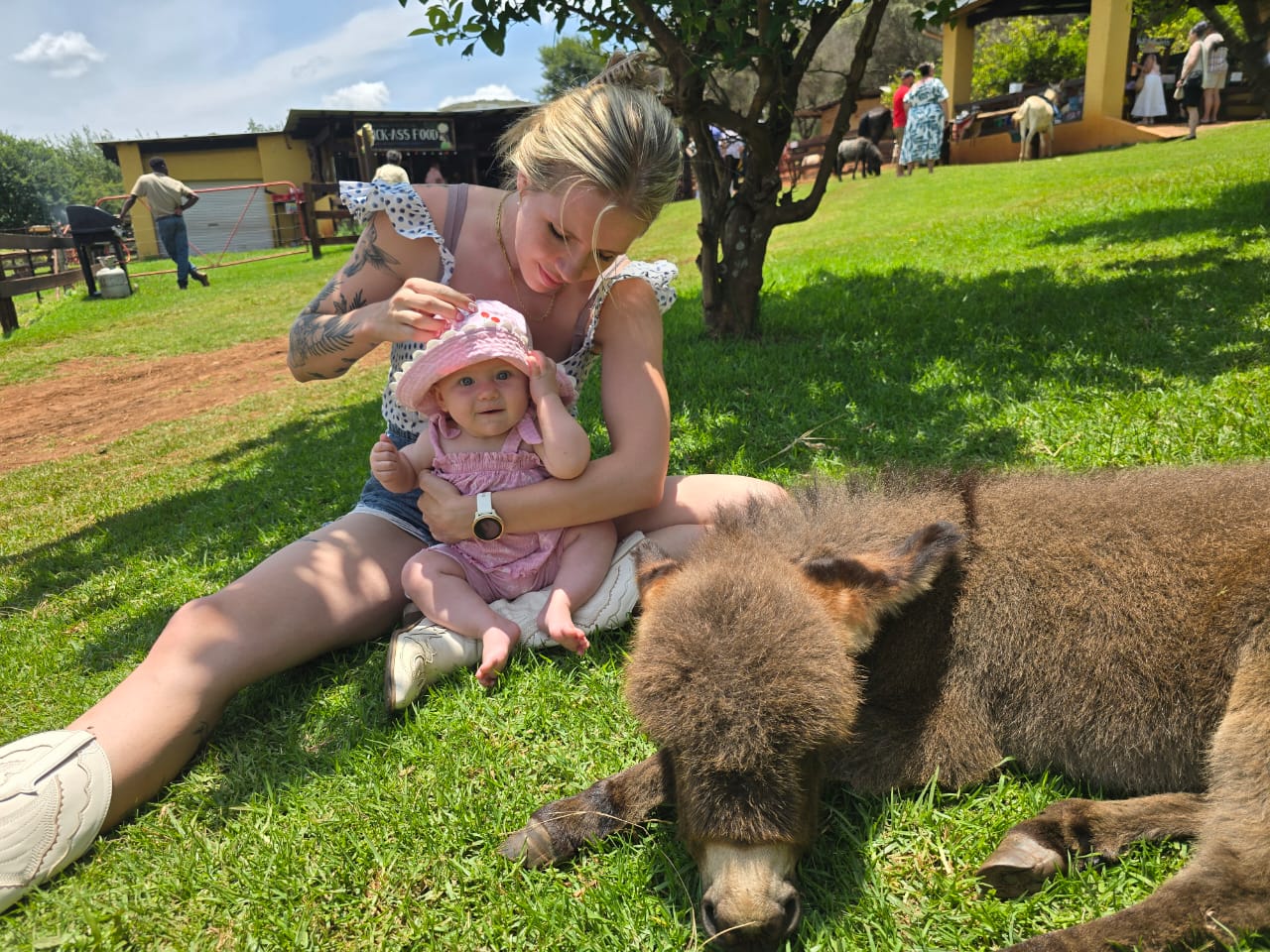 The Donkey Dairy