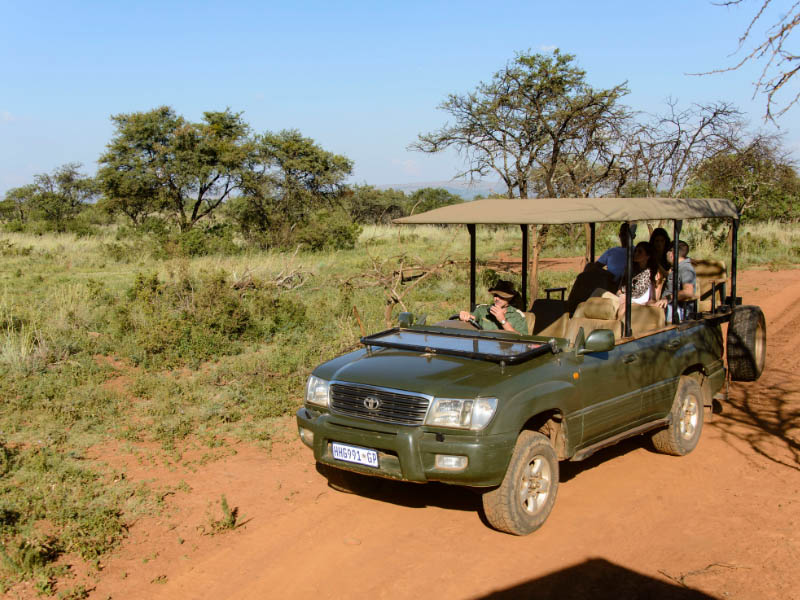 Game Drive