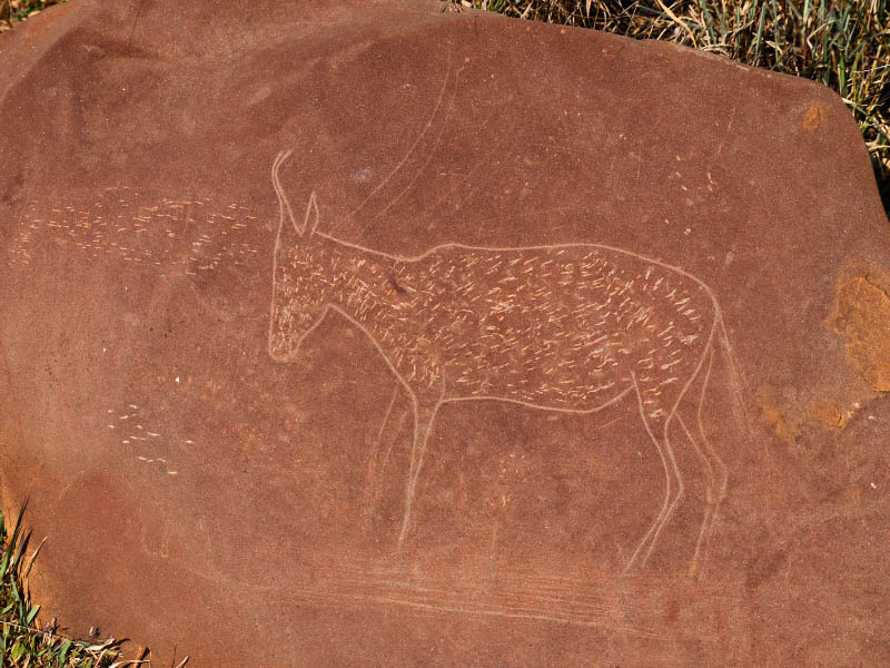 Petroglyph Walk